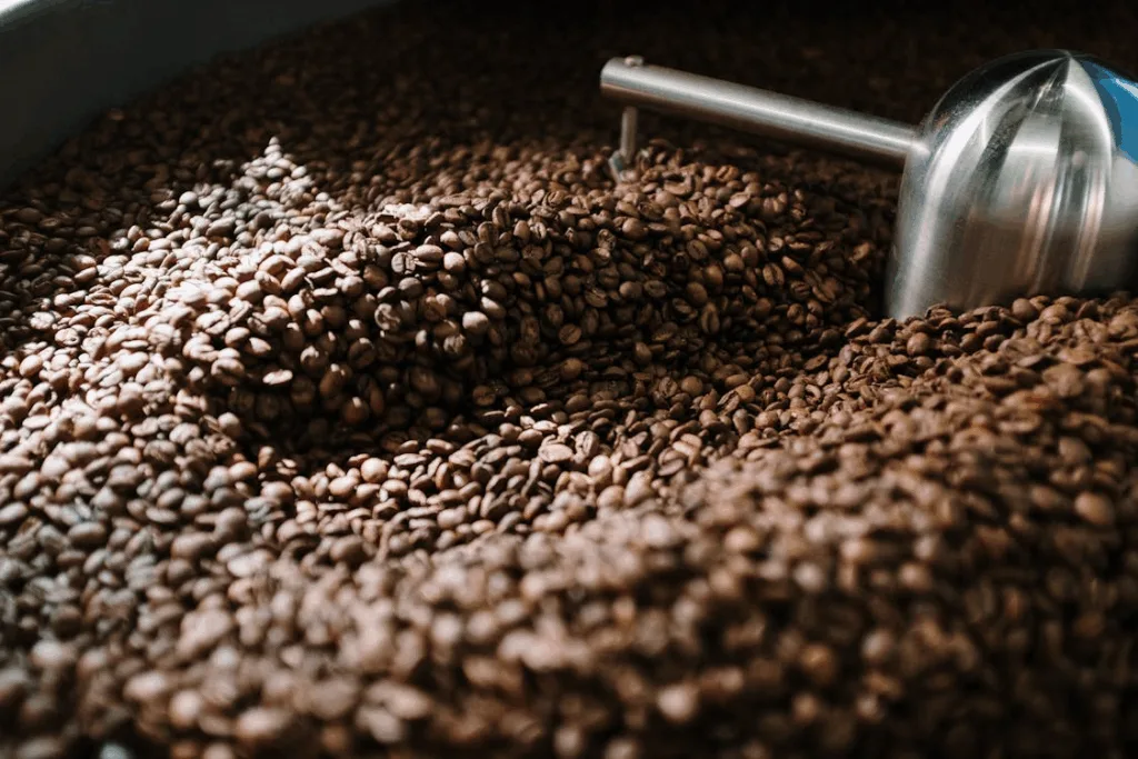 Espresso Beans of high quality being processed