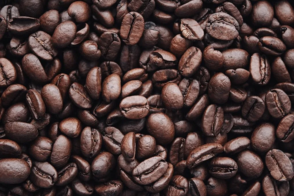 A macro shot of dark roasted coffee beans highlighting their natural oil sheen and texture