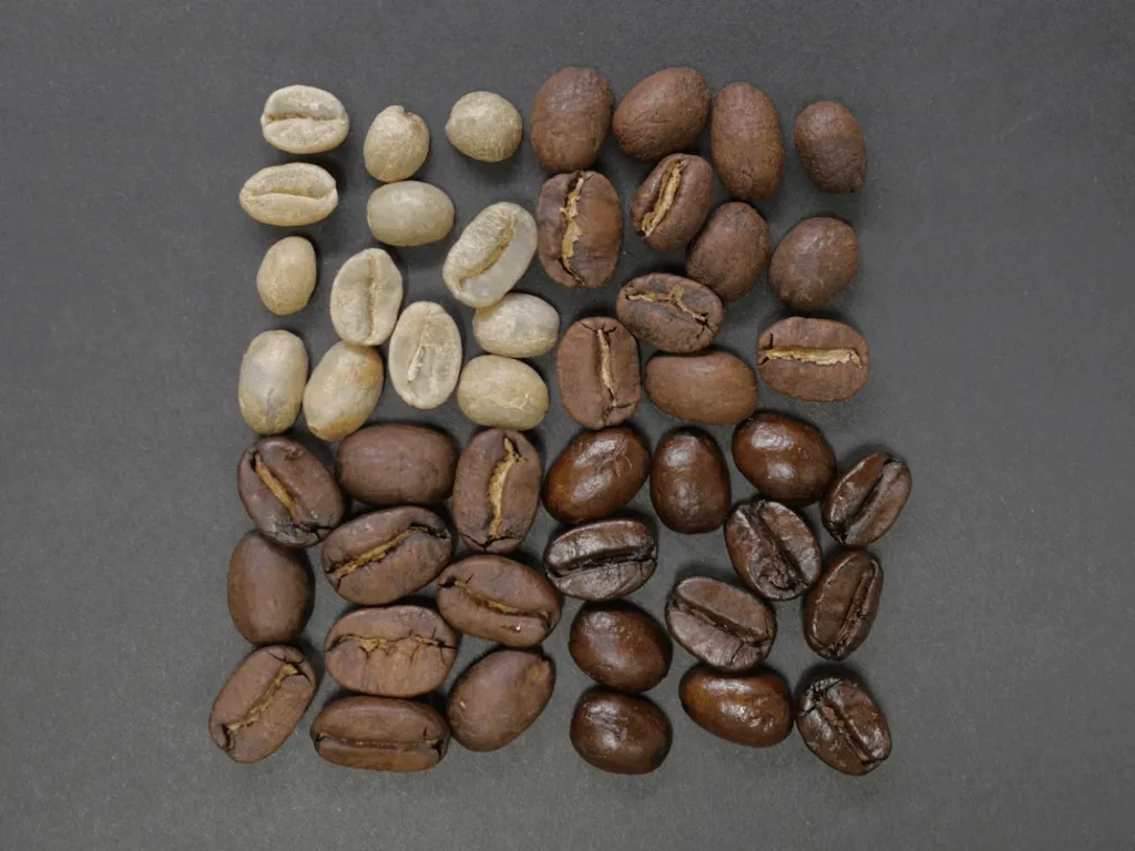 The different coffe bean roast levels displayed sorted by lightness